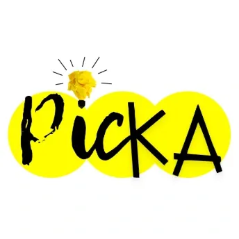 picka.odoo.com